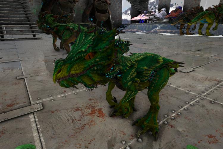 Velonasaur Baby