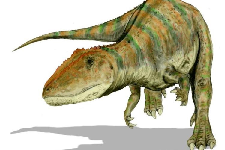 Carcharodontosaurus