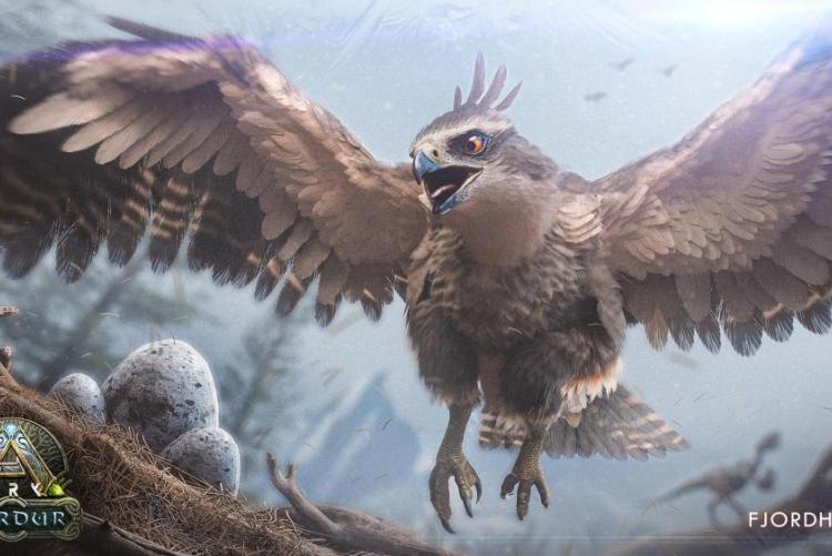 Fjordhawk - Falke der Dein Zeugs zurückbringt