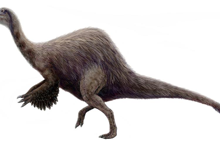 Deinocheirus