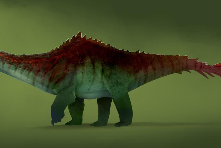 Shunosaurus: Armoured Sauropod with a Tail club