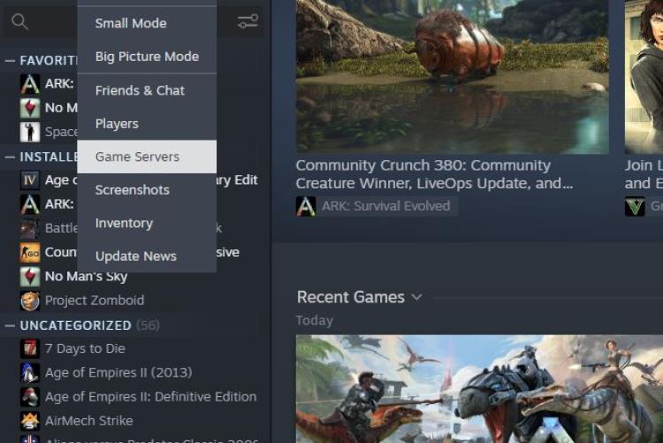 3. Öffne STEAM und gehe zu "Game Servers" (View - Game Server)