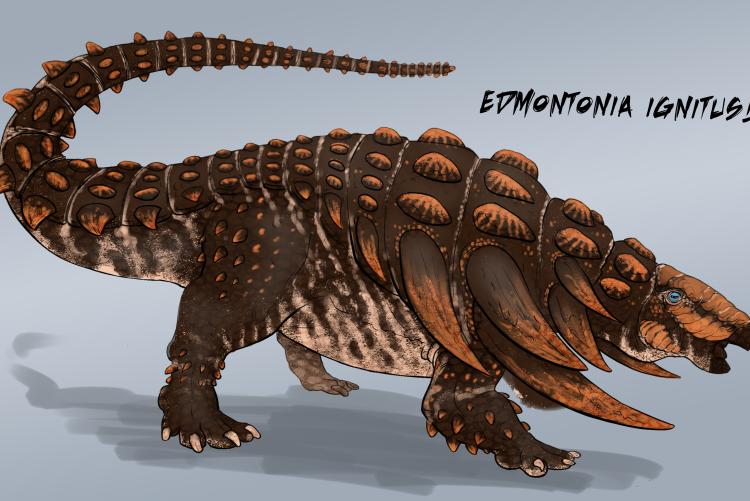 Edmontonia Ignitus - by Garuga123