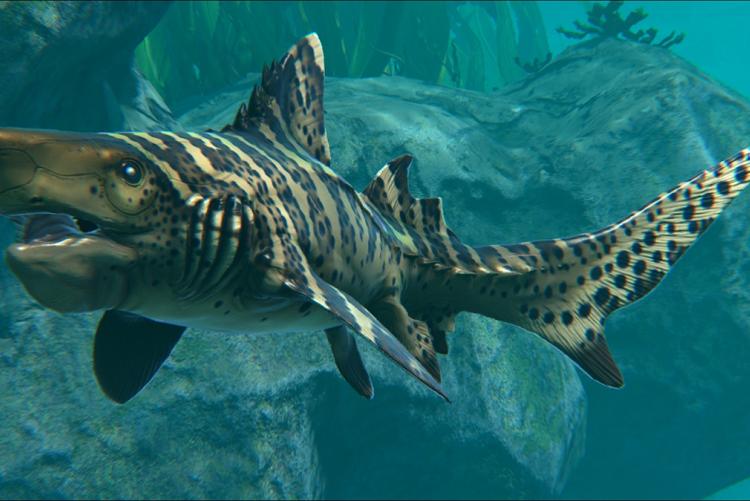 Helicoprion