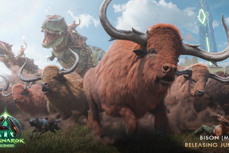 ASA Male Bison by Wildcard