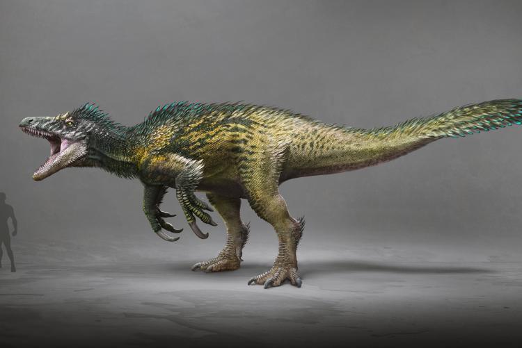 Megaraptor (by Wildcard)