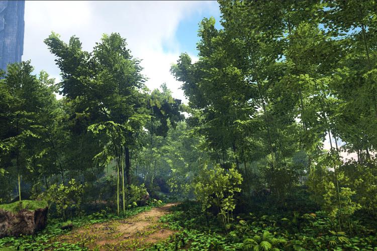 Lost Island: Grove 2