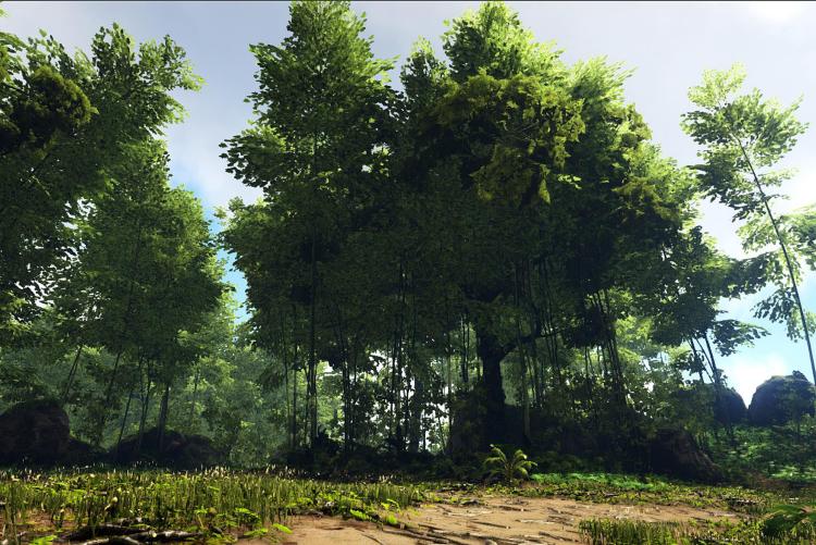 Lost Island: Grove 3