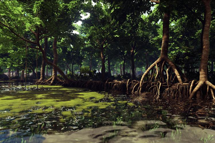 Lost Island: Mangrove 1