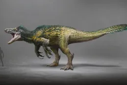 Megaraptor (by Wildcard)